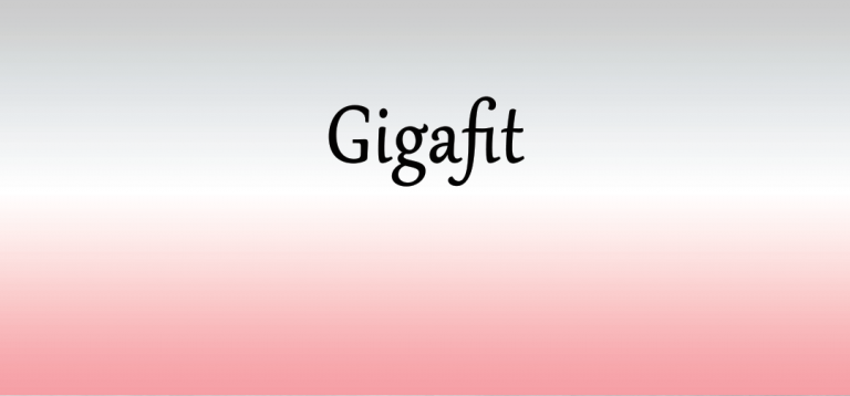 Gigafit web 1 768x358